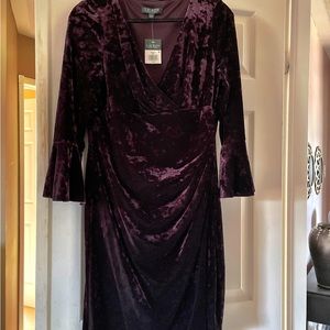 Ralph Lauren Purple crush velvet look dress.